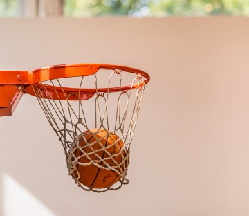 Basketball and hoop